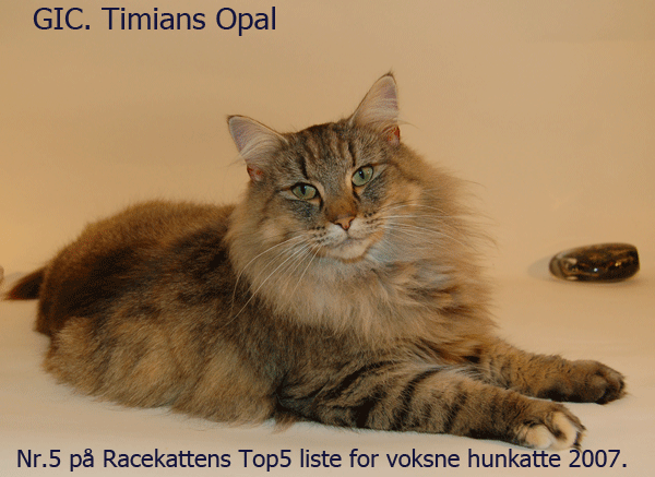 Timians Opal on toplist