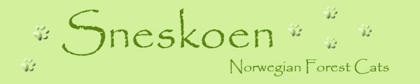 Welcome to Sneskoen