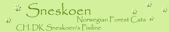 Gallery for DK Sneskoen's Pixiline